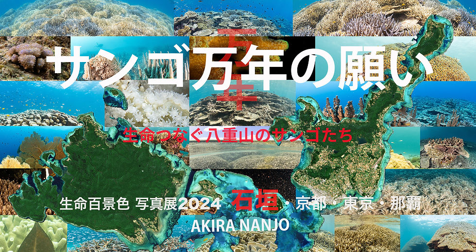 生命百景色 南條明 写真展2024 in 石垣