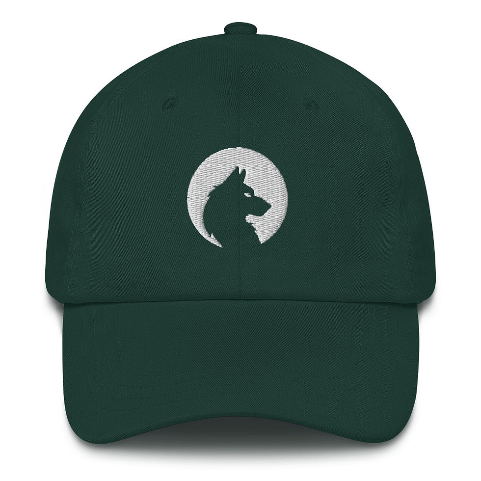 Thumbnail: Paranatural Embroidered Hat