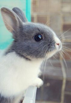 48e3356c54b5d8283534076b5c093fb5