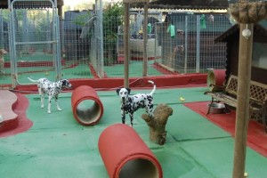 COMO-ELEGIR-GUARDERIA-8-300x200