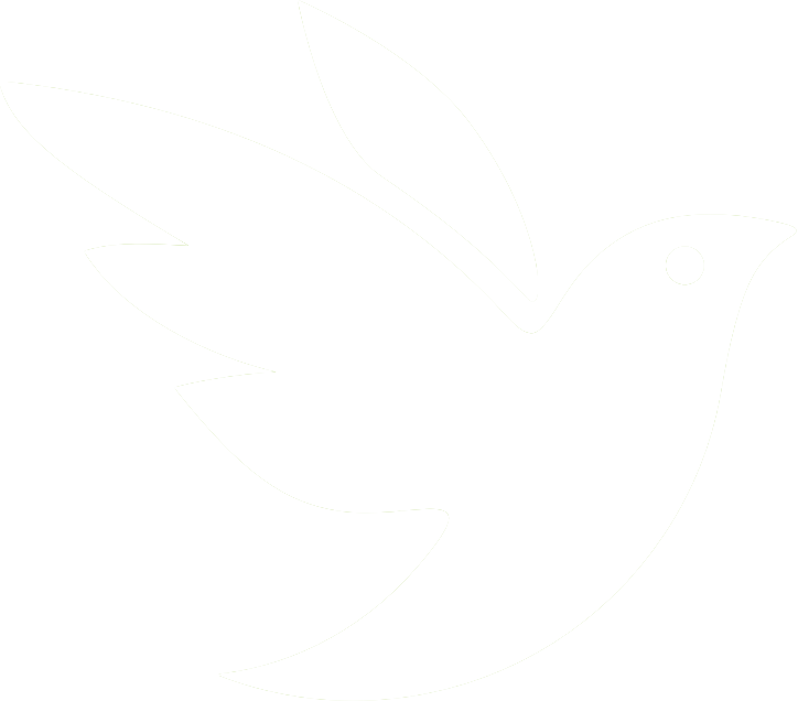 iNaturalist
