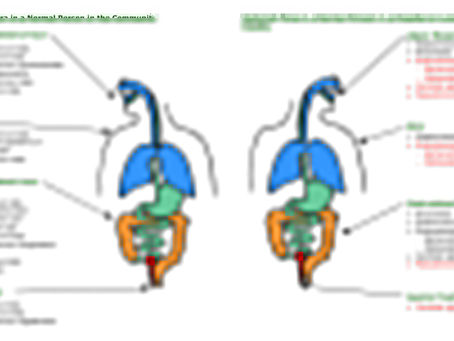 Gastrointestinal Medications For Long-Term Care Crack Activator