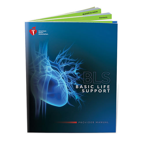 AHA-BLS-Provider-Manual-2002.jpeg