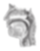 1000_F_189025593_8u9f7TqEze4kwjNDD8ThXcnileLvSAlQ_edited.png