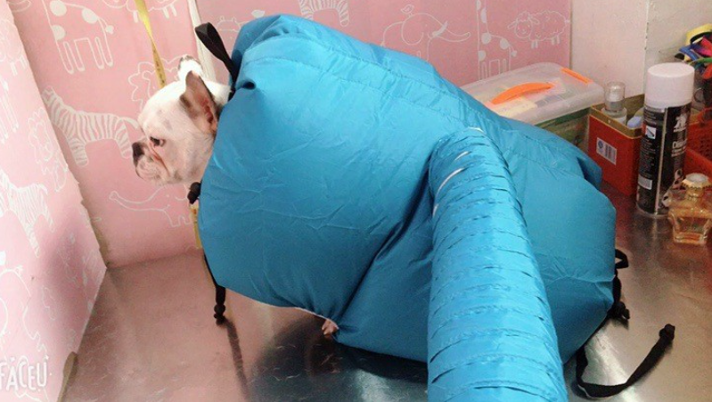 Thumbnail: Pet Drying Box, Dryer, and Drying Bag
