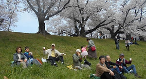 写真1.jpg