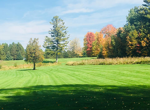 Picture of a fairway at The Pines at Fairview