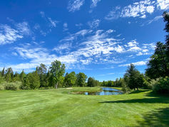 Challenging course in Comins