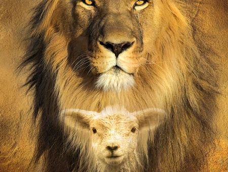 A Burning Bush Encounter