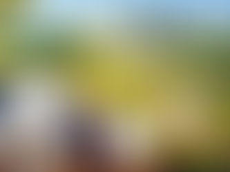 Legal checklist for buying property on Yamuna Expressway under YEIDA including leasehold verification, title check, and approvals