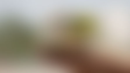 Hand holding a miniature real estate development with residential buildings, stacked coins, and a tree symbolizing property value growth and long-term investment.