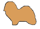 CC-gold.gif