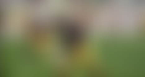 Notre Dame's Next Receivers Coach: Evaluating Potential Chansi Stuckey Replacements