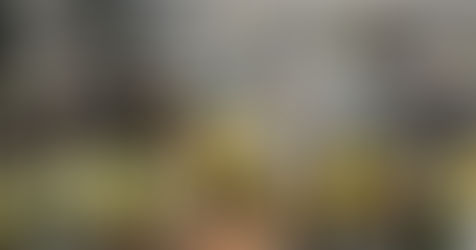 Thoughts For the Triple Option: A Week Zero Breakdown