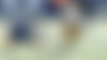 Can Notre Dame Reach Its Full Potential Against Navy? IT Staff Predictions