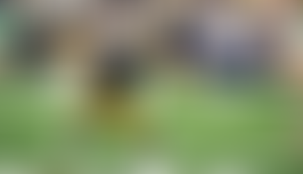 The Ballad of a 5-Star: An Evaluation of Irish Blue-Chips Past and Present