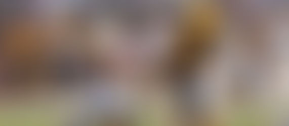 Notre Dame Impresses 4-Star RB Favour Akih