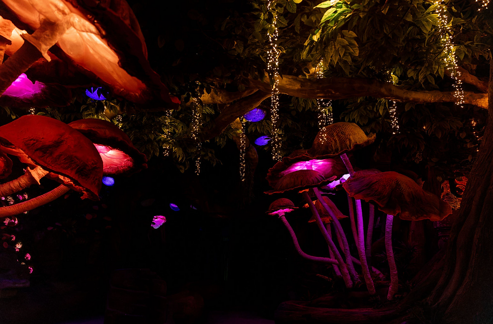 Glowing red and purple oversized mushrooms under a dark tree canopy, with twinkling string lights in a magical forest scene