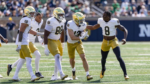 Notre Dame Blue-Gold Defensive Standouts