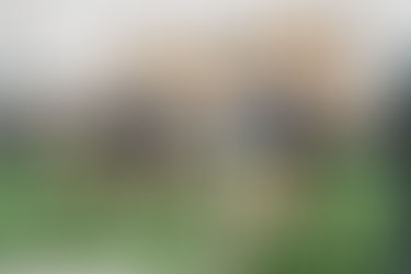 Spring Ball Updates: Quick Hitters and Player Interviews