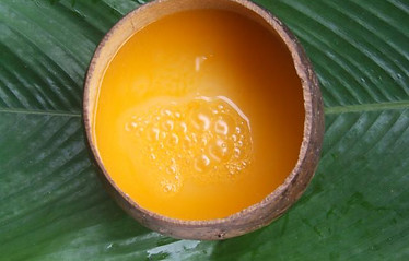 CHICHA DE CHONTA.JPG