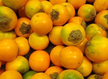 NARANJILLA.jpg