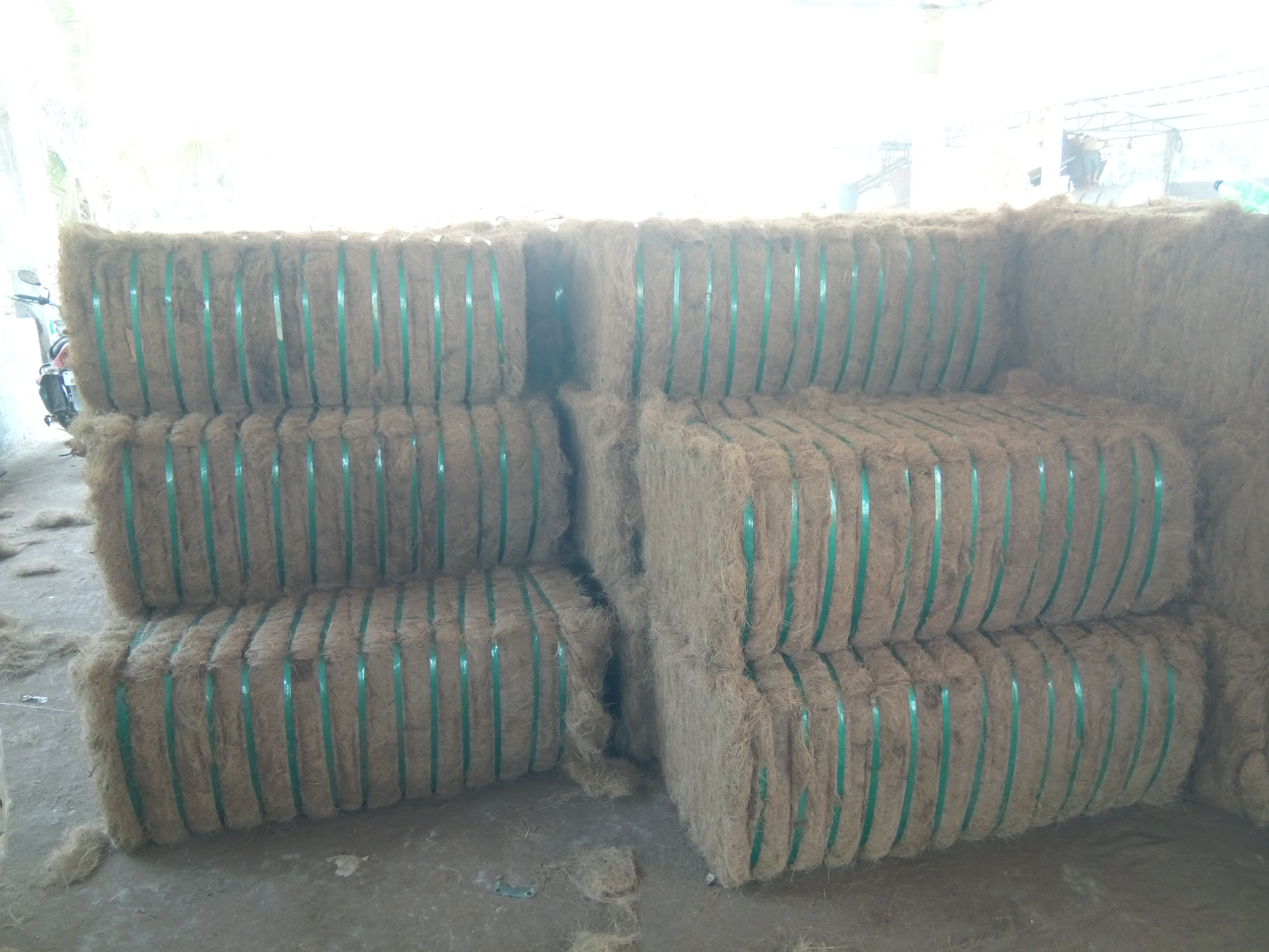 coir fibre bales(120 kgs)