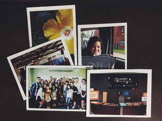 Empty Frames Initiative’s Timeline