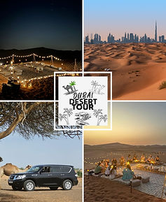 PACKAGES_ALL (8).jpg