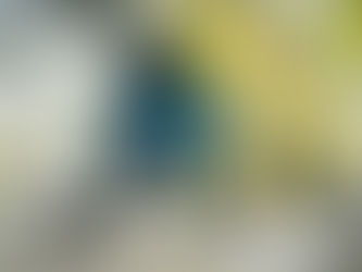 Chery Group, OMODA & JAECOO Thailand พิธีเปิดโรงงาน NEV ในประเทศไทยอย่างเป็นทางการ