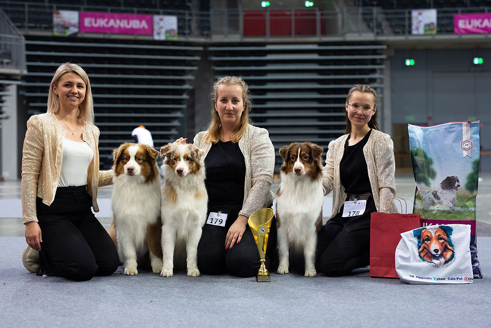 482245049_974768174830604_3281391174936711773_n