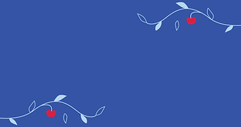 Veda Vidus - Socialinis verslas - Story (Medium Banner (US) (Landscape)).png