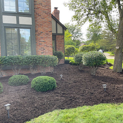 Landscaping 