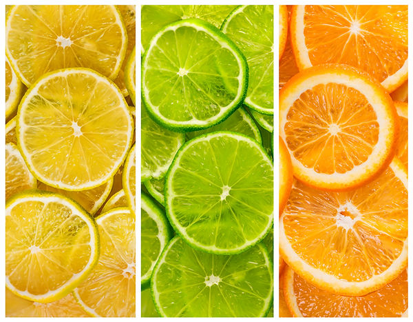 Portrait Citrus Fruit.jpg