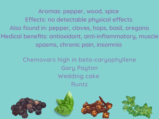 Terpene Tuesday- beta-caryophyllene