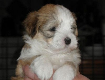 Mr Julian Gorgeous guy