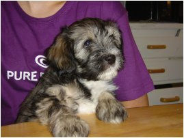 Anyway you want me "Elise"