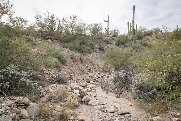 ArizonaMiningClaims.com | Gold Mining Claims For Sale | Arizona