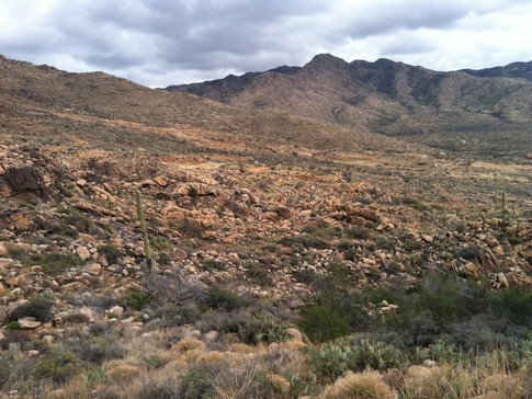 Img_4796.jpg