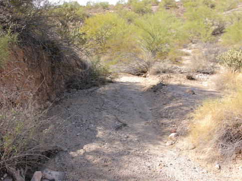 234A0762-min.JPG