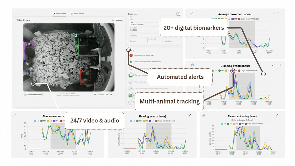 FIg 2 overview.gif