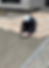LIFIX (6).png
