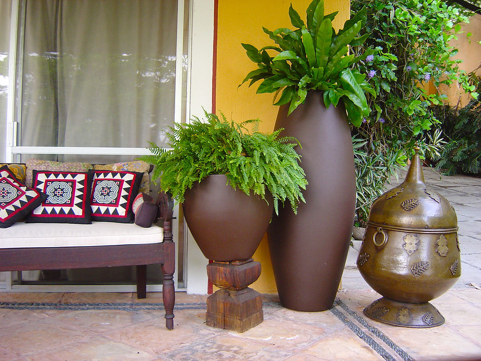 Miniatura: Maceta Pot 50