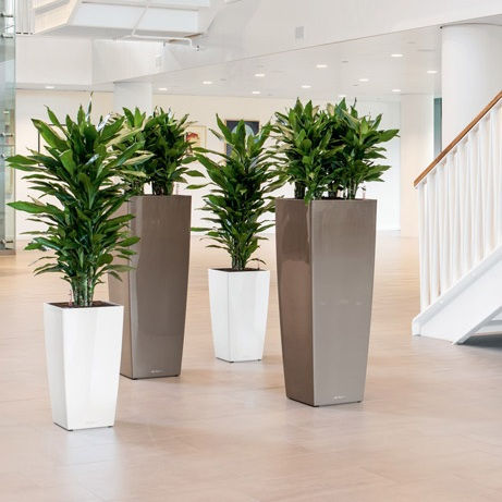 Miniatura: Maceta Cubico Alto Premium 40