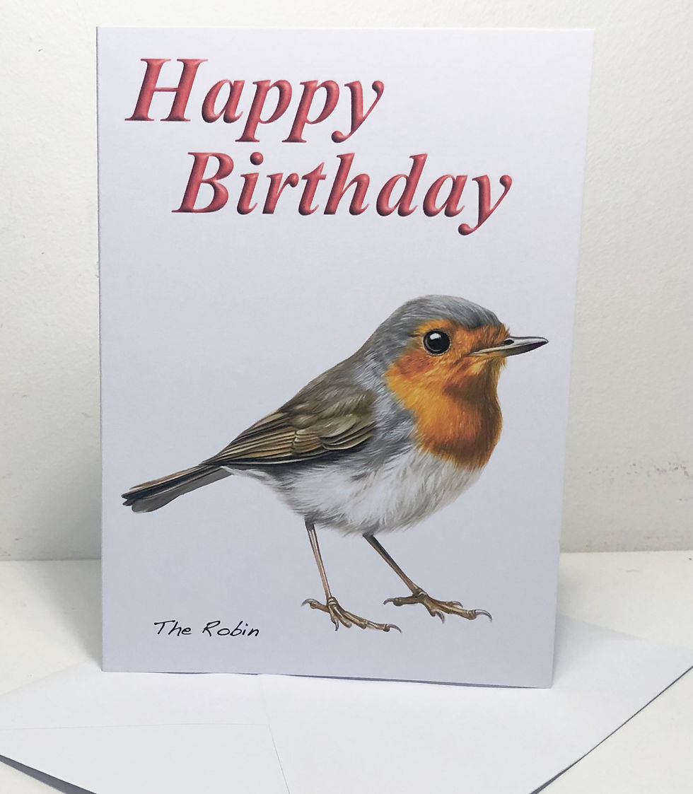 The Robin Greeting Cards (5 x 7in): Happy Birthday or Plain