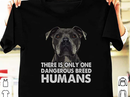 Order -Bulldog there is only one dangerous breed human shirt and hoodie