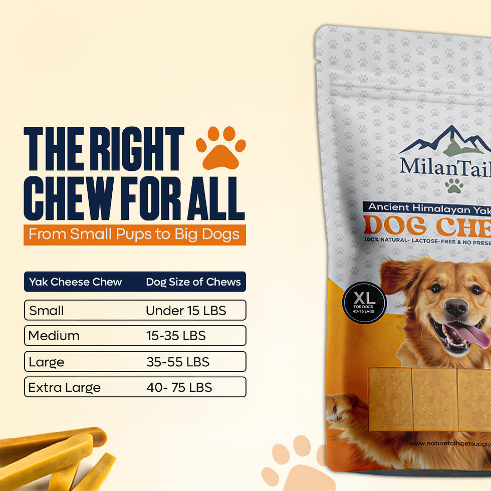 Thumbnail: Premium Gold Yak Cheese Himalayan Dog Chews, Dog Treats for Dogs, All Natural