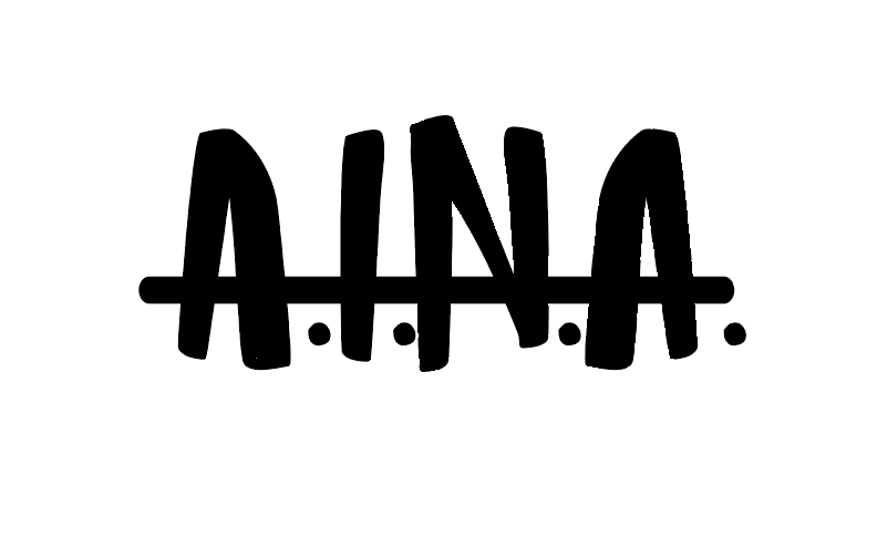 A.I.N.A. 21
