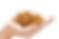 gold%20into%20cash_edited.png