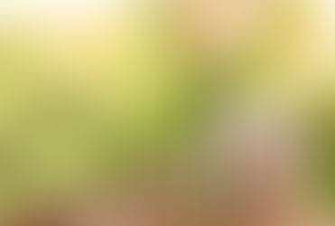 From Paris to the World: The Future of Climate Finance in a Post-COVID-19 Era